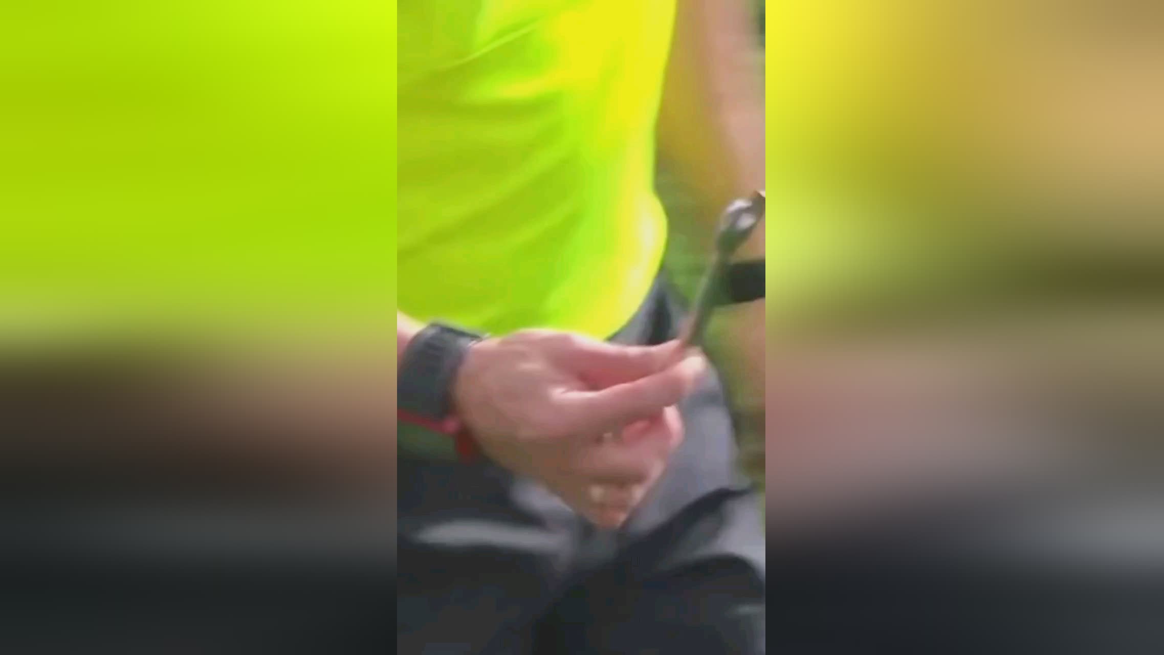 的表现